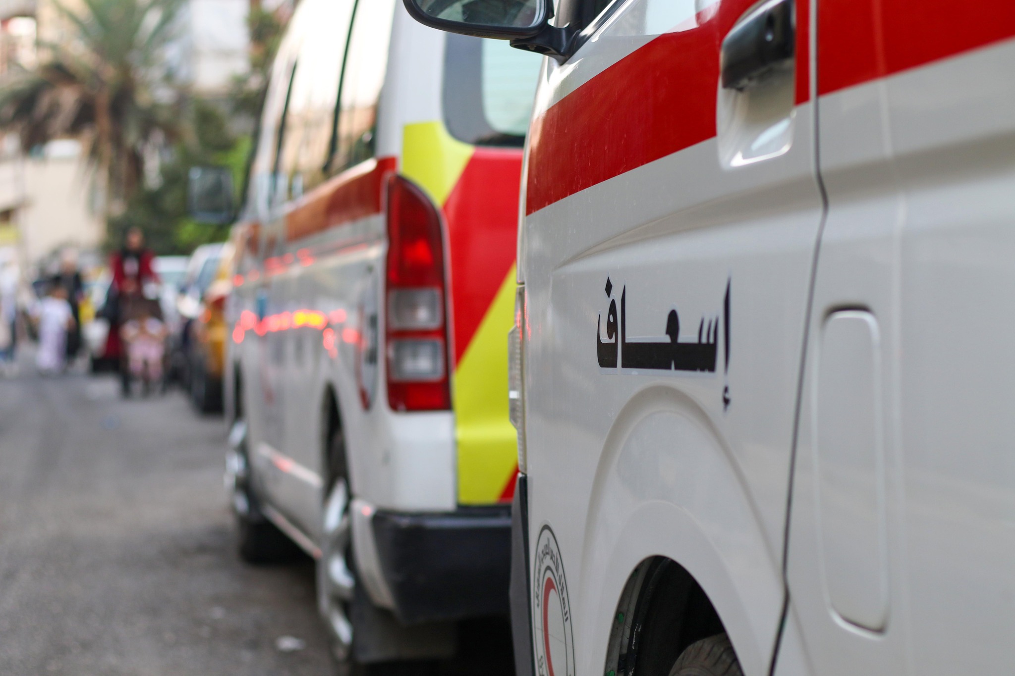 485612808_1065859155578911_3523872656156598391_n